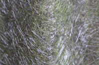 Upper Largo Or Kirkton Of Largo fibreglass roof work